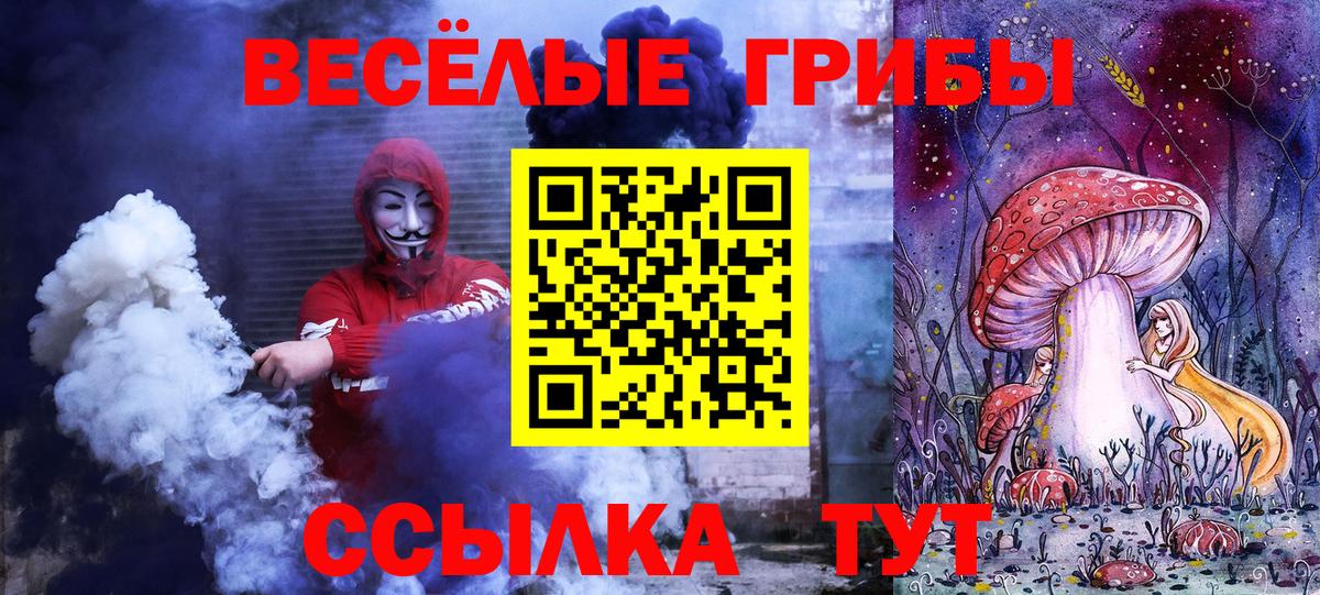 Тавда  Псилоцибиновые грибы GOLDEN TEACHER  Вход с VPN  Псилоцибиновые грибы Magic Shrooms 