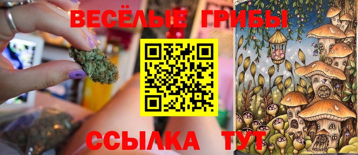 Галлюциногенные грибы GOLDEN TEACHER Тавда